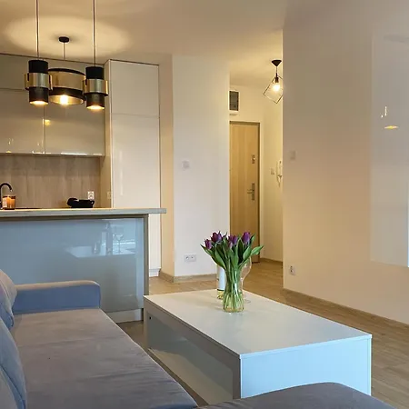 Comfort Point Gorzów Wielkopolski Eksteriør bilde
